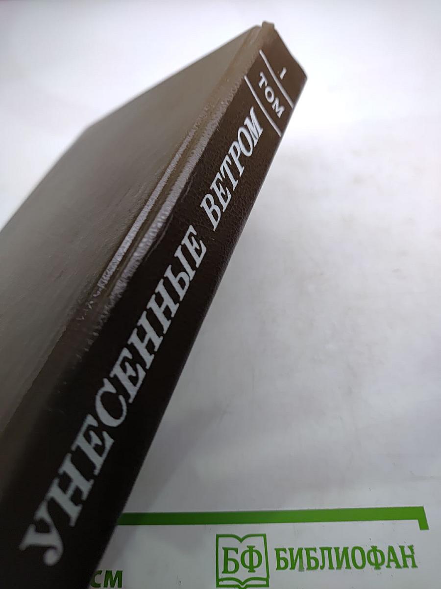 Унесенные ветром, Том 1