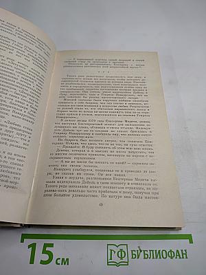 Женщины и Короли. В интимном окружении Королев и Фавориток. Том 3