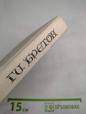 Женщины и Короли. В интимном окружении Королев и Фавориток. Том 3