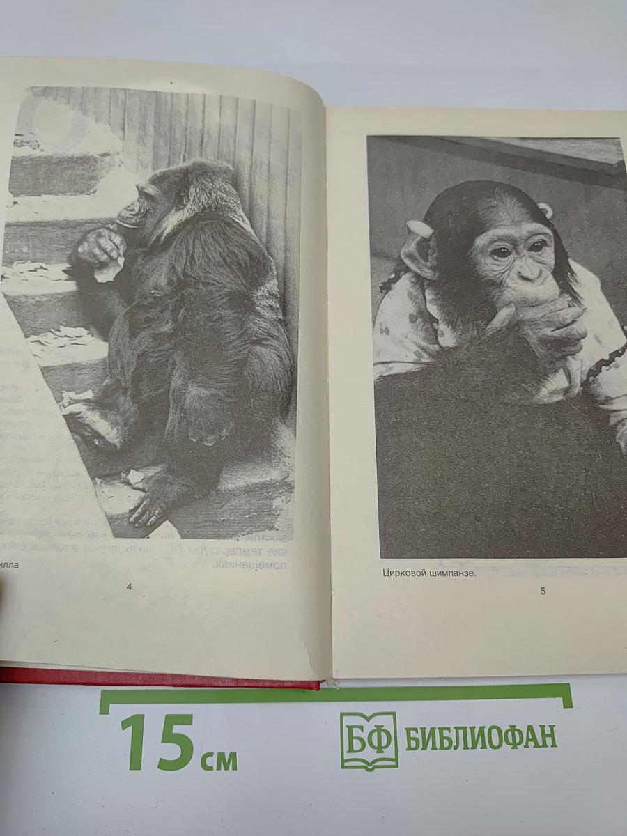 Домашние животные. Малая энциклопедия