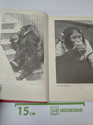 Домашние животные. Малая энциклопедия