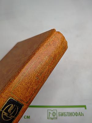 Письма в будущее