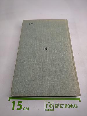 Разочарование и крушение Родиона Раскольникова
