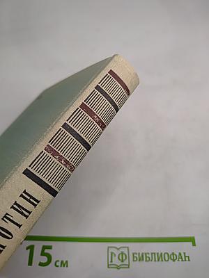 Разочарование и крушение Родиона Раскольникова