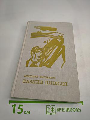 Разлив Цивиля