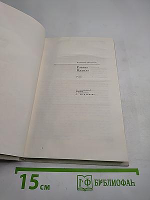 Разлив Цивиля