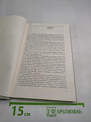 Разлив Цивиля