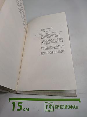 Разлив Цивиля