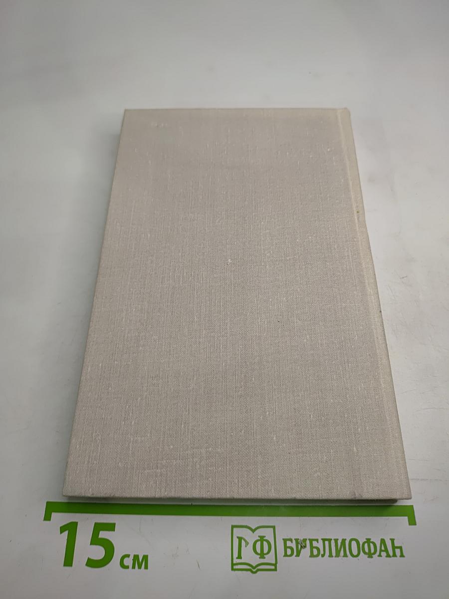 Разлив Цивиля