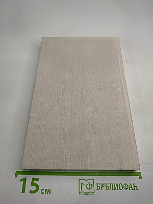 Разлив Цивиля