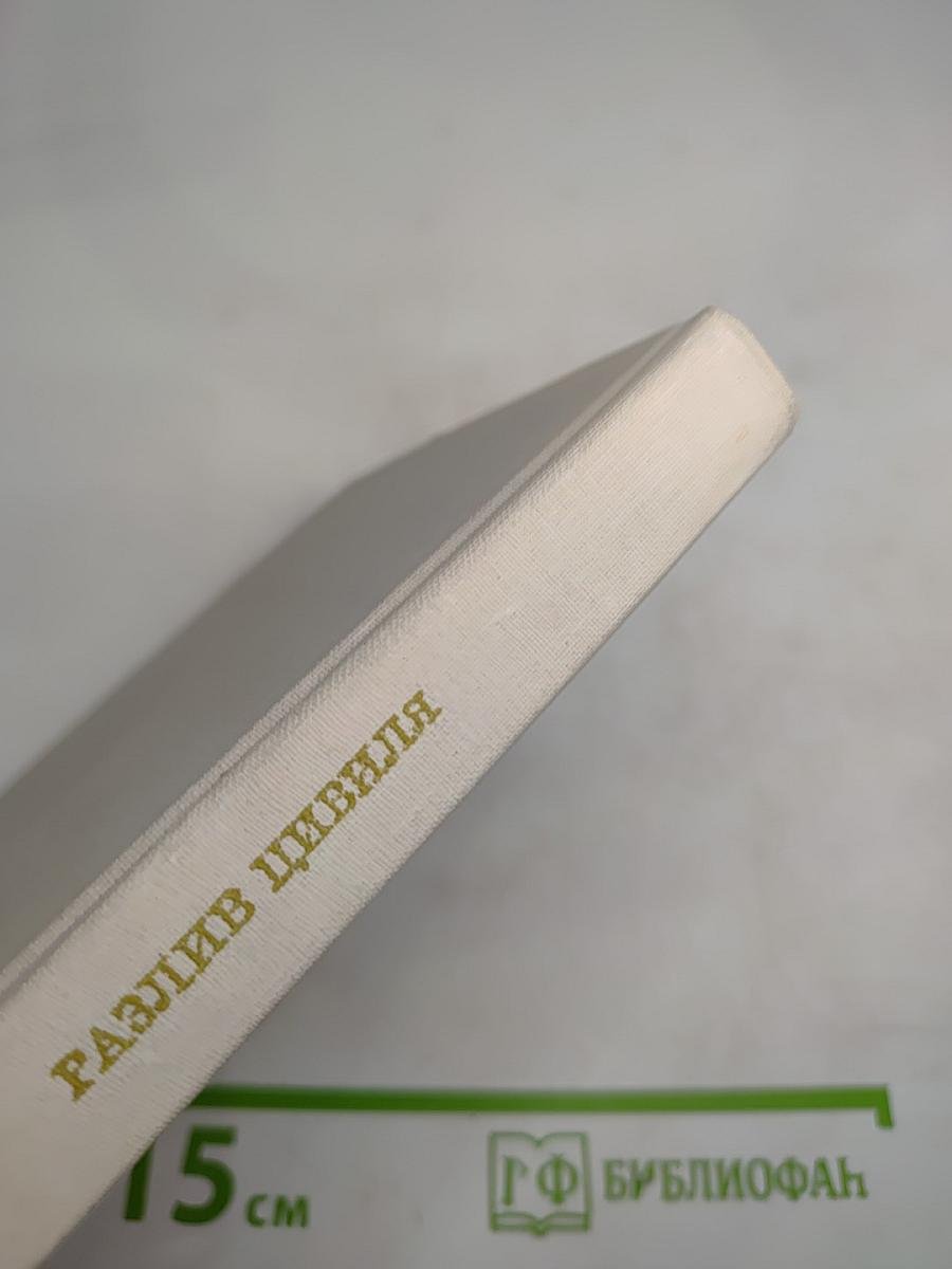 Разлив Цивиля