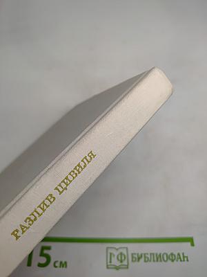 Разлив Цивиля