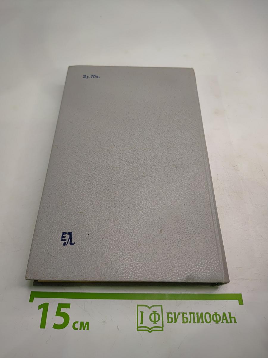 Групповой портрет с дамой: Книга 2