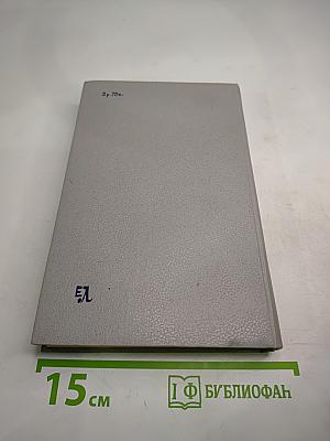 Групповой портрет с дамой: Книга 2