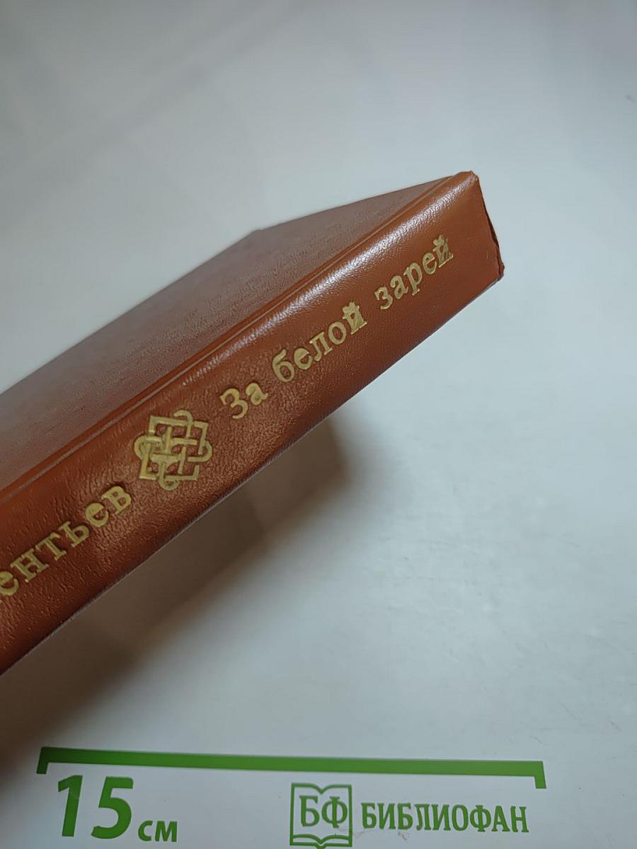 За белой зарёй