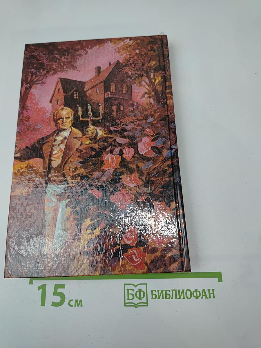 Мужчина моих грез