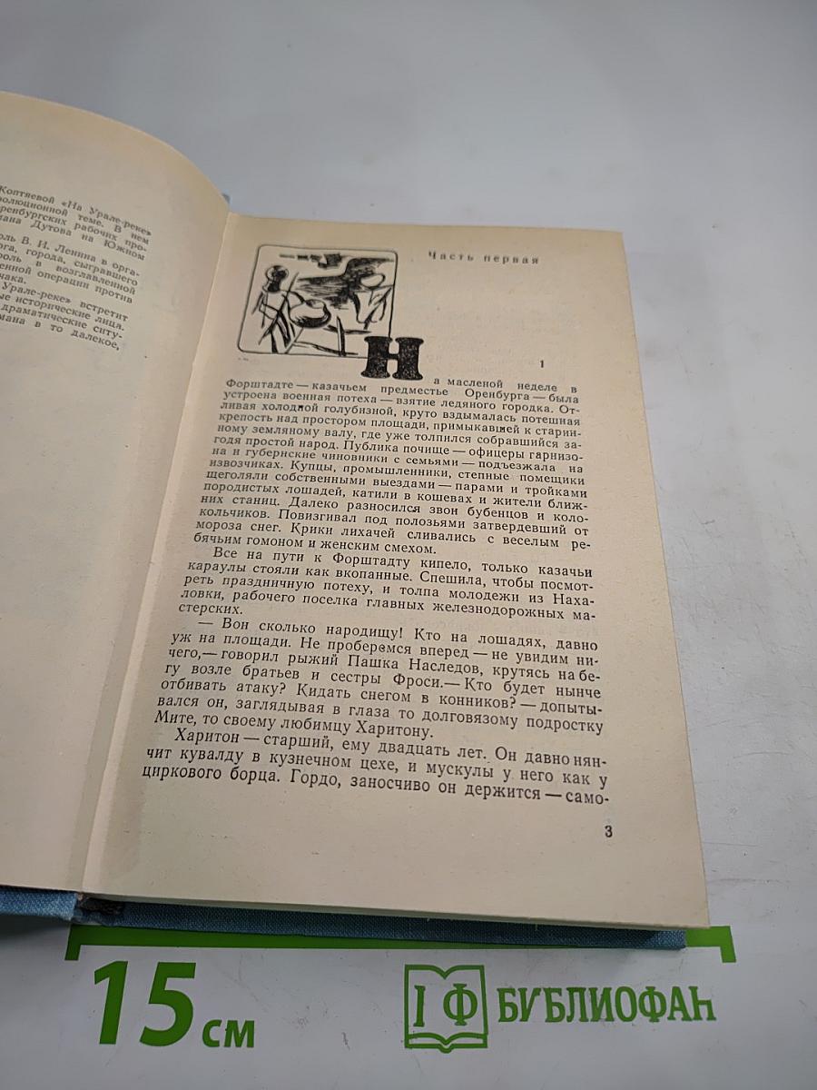 На Урал-реке. Книга первая