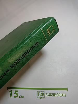 Заре навстречу