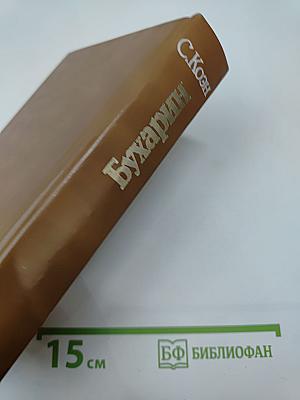 Бухарин: Политическая биография 1888-1938