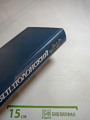 Я.П. Полонский. Лирика. Проза