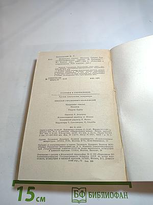 Мещанское счастье. Молотов. Очерки бурсы