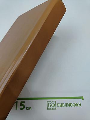 Богатые тоже плачут. Книга 2