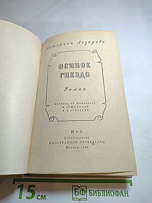 Осиное гнездо