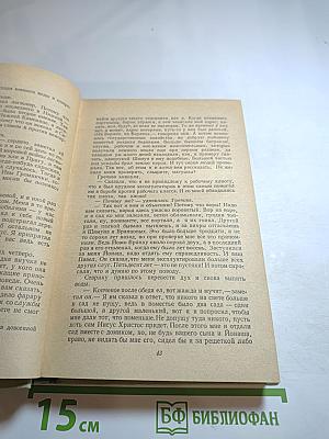 Осиное гнездо