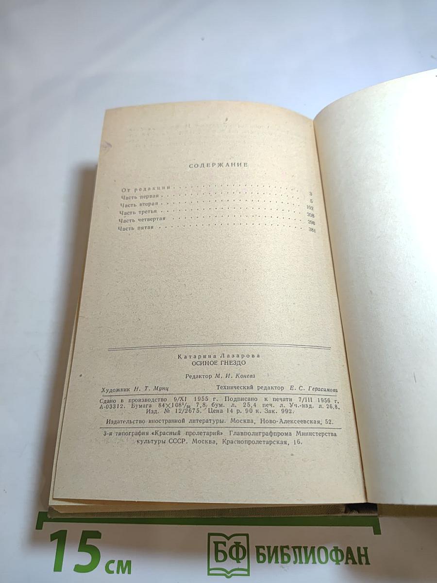 Осиное гнездо