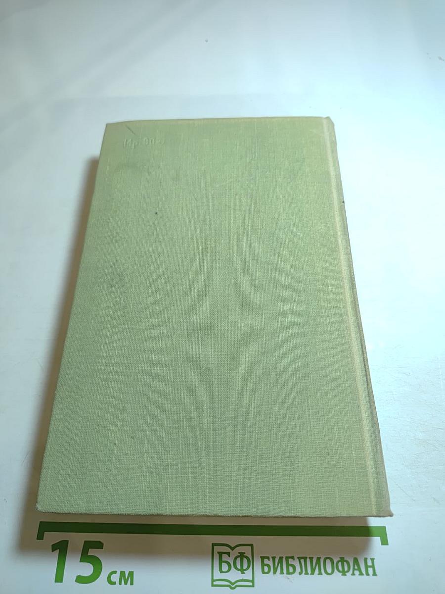 Осиное гнездо