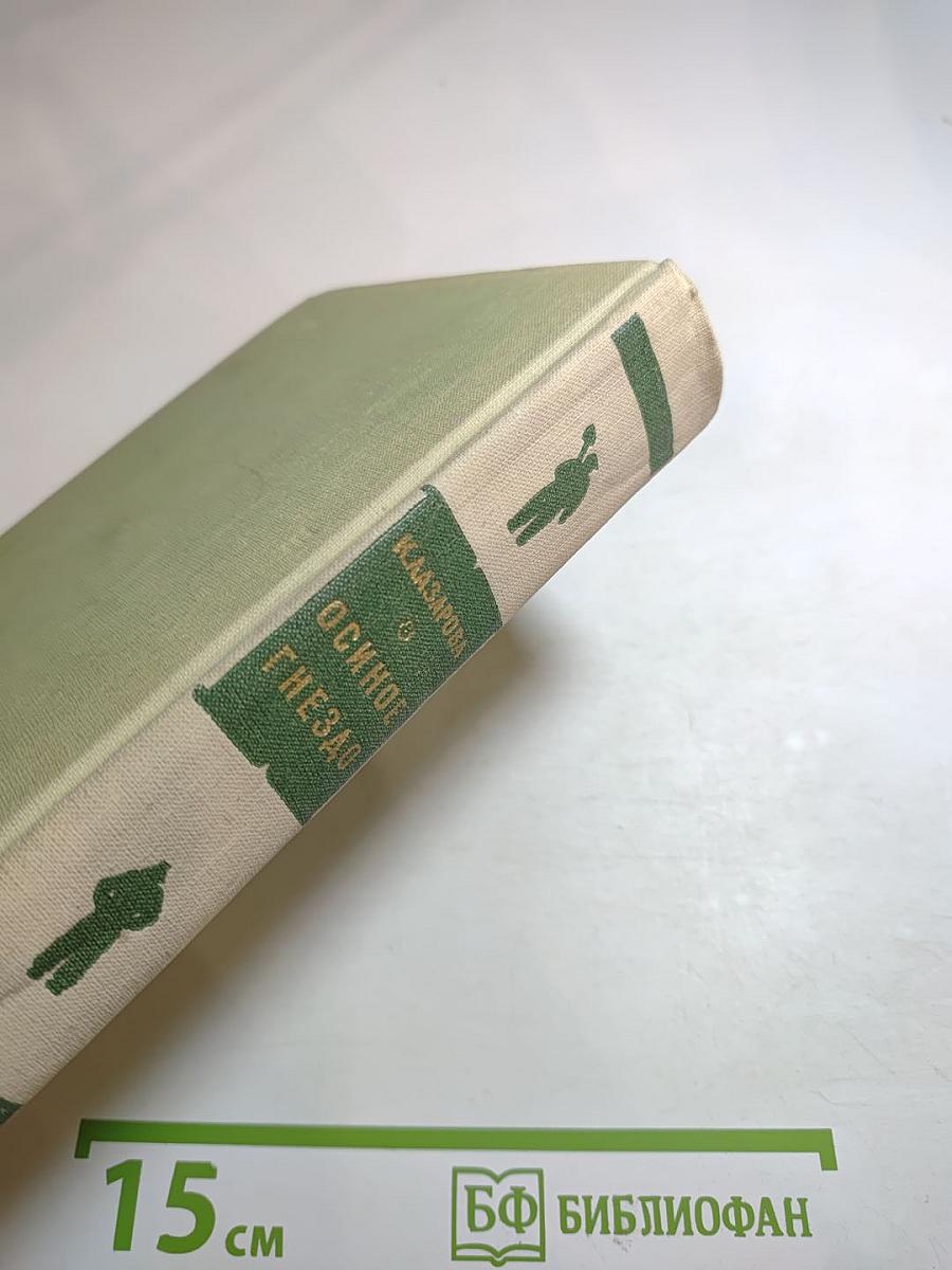 Осиное гнездо