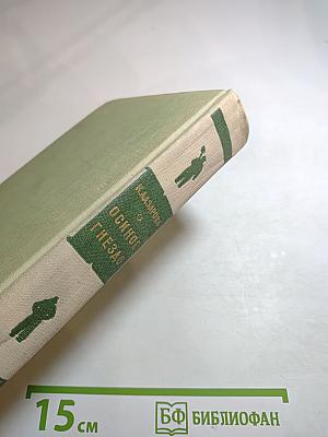 Осиное гнездо