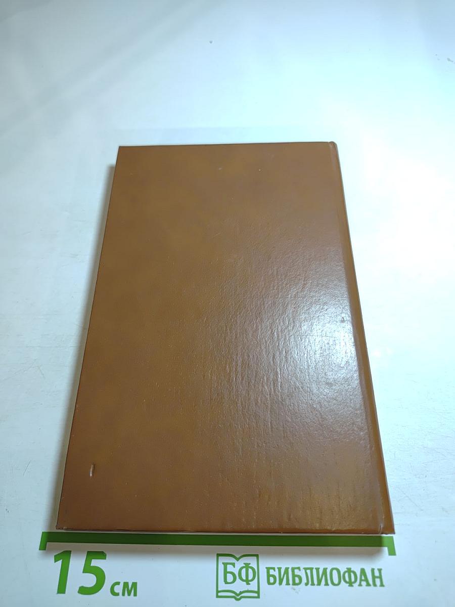 Десять плюс один. Грабитель