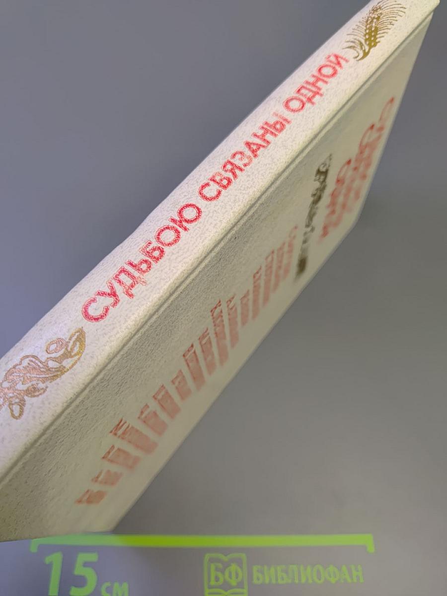 Судьбою связаны одной