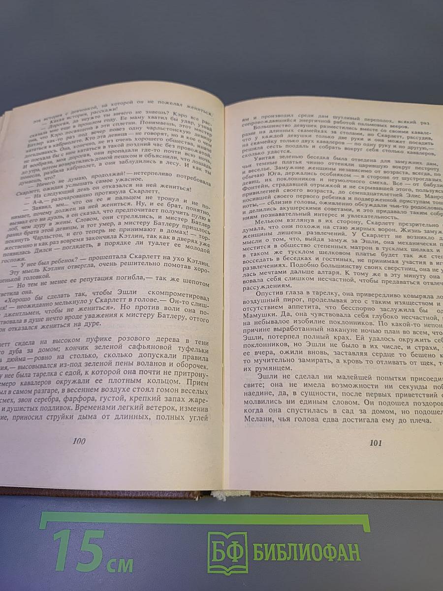 Унесенные ветром. Том I