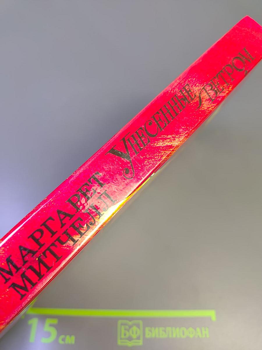 Унесенные ветром. Том 2