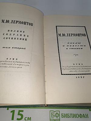 Поэмы и повести в стихах
