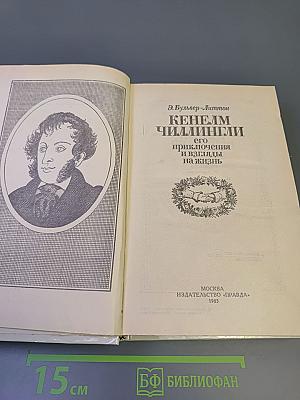 Кенелм Чиллингли его приключения и взгляды на жизнь