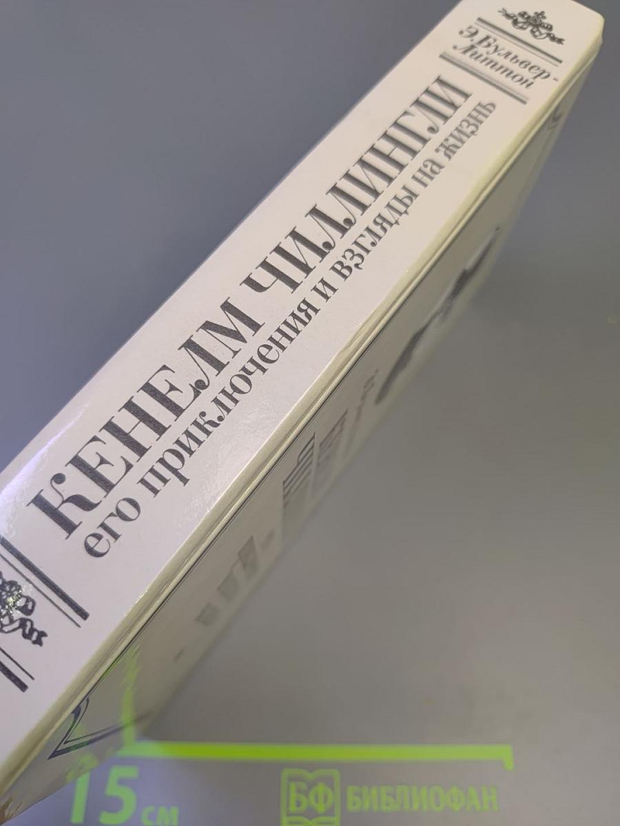 Кенелм Чиллингли его приключения и взгляды на жизнь