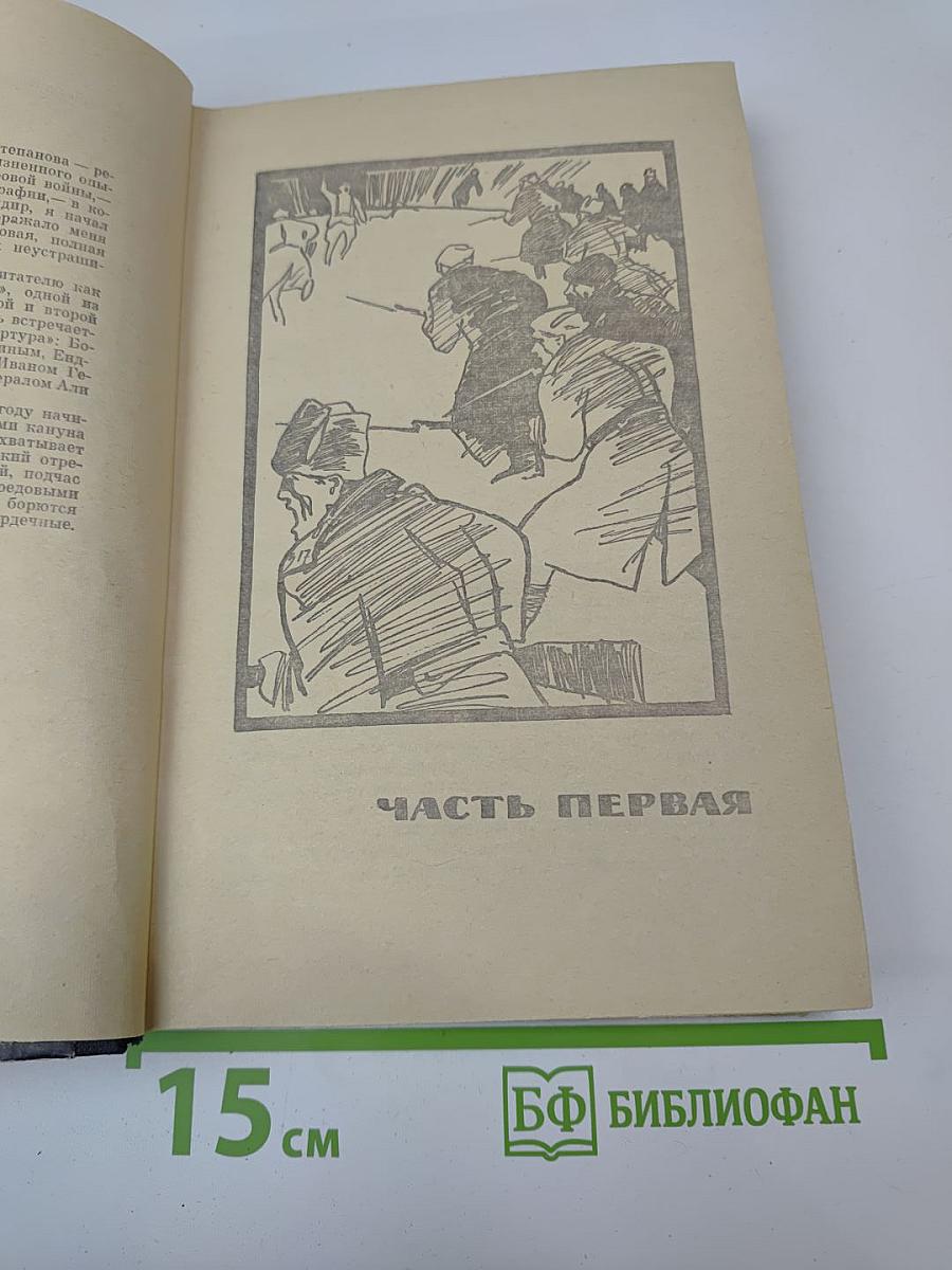 Семья Звонаревых. Книга вторая