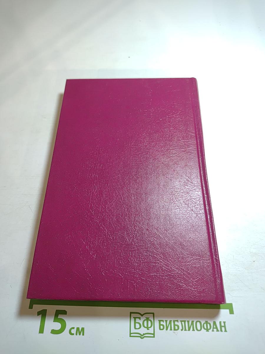 Ледяной ад. Без гроша в кармане