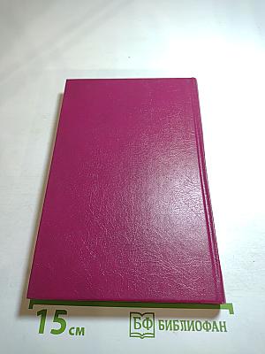 Ледяной ад. Без гроша в кармане