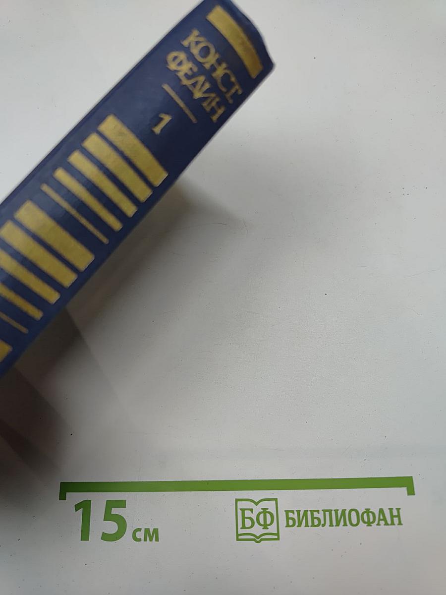 Собрание сочинений. Том первый: Города и годы. Роман