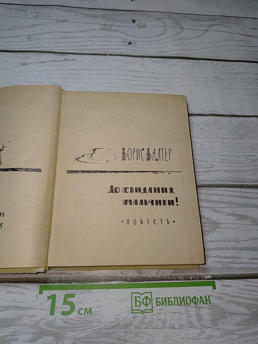 До свидания, мальчики!