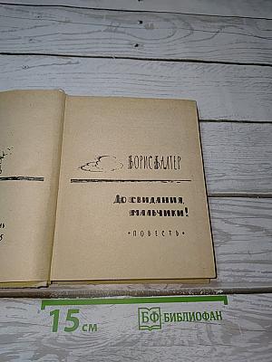 До свидания, мальчики!