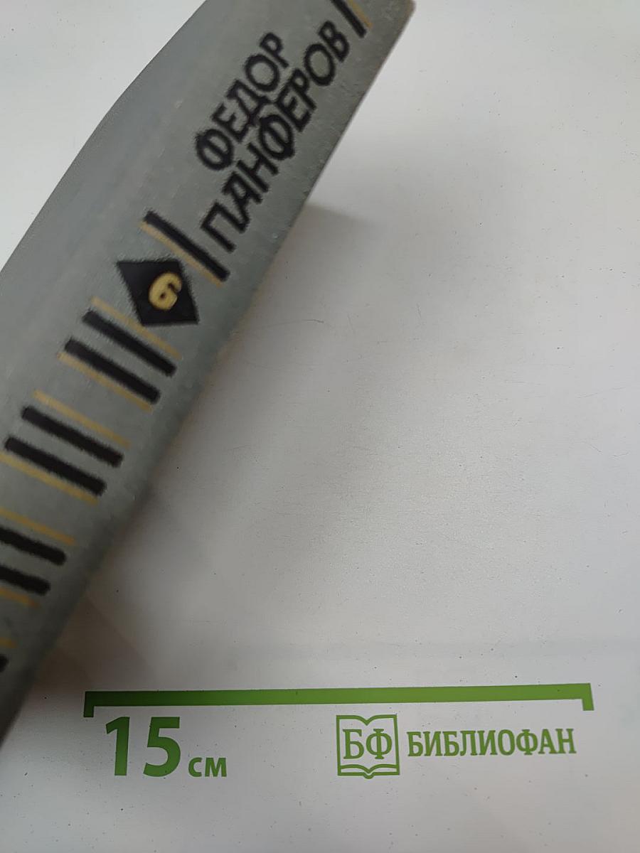 Собрание сочинений в шести томах. Том 6. Волга-матушка река. Книга вторая. «Разумье»