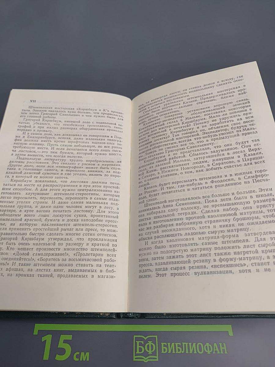 Собрание сочинений в четырех томах. Том 2. Горбатый медведь
