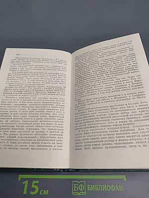 Собрание сочинений в четырех томах. Том 2. Горбатый медведь