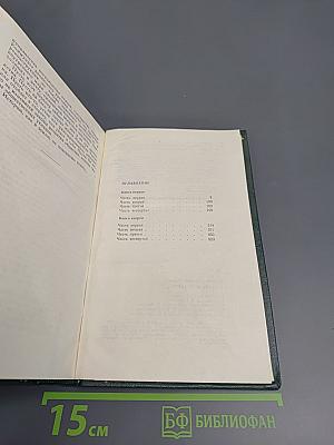 Собрание сочинений в четырех томах. Том 2. Горбатый медведь