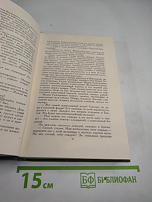 Тихий Дон. Книга третья (Том IV)